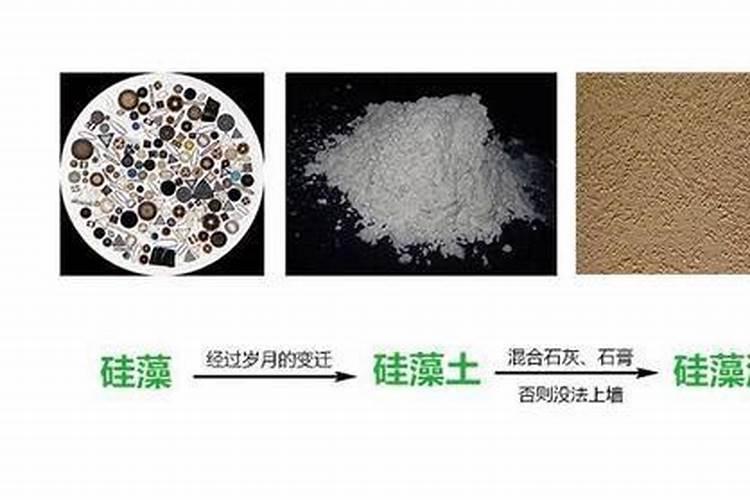 螃蟹塘里出现青苔怎么处理？该如何预防？