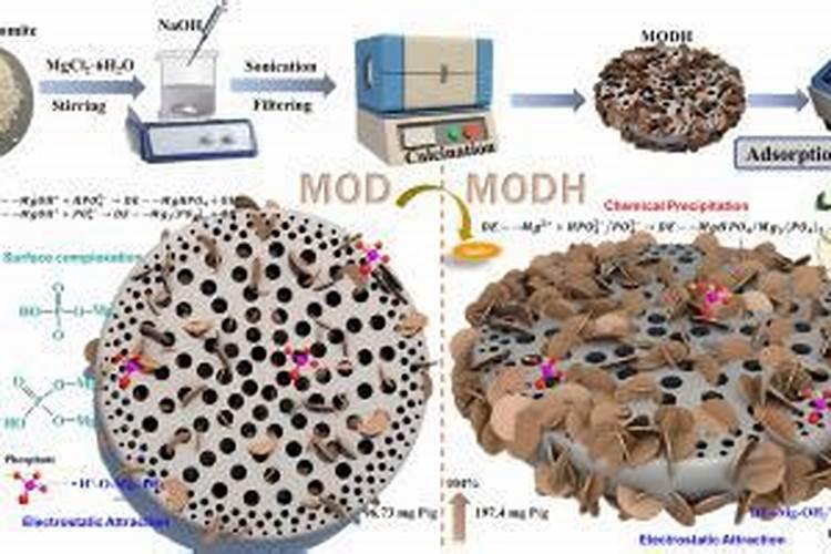 有机肥里面含有的什么元素比较多