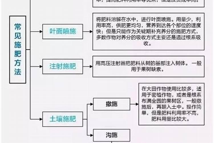 果树施肥的最佳位置和施肥方式
