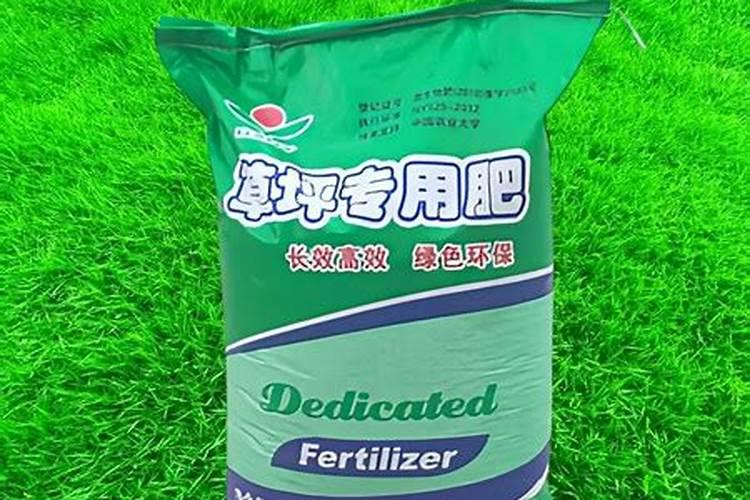 兰花需要哪些肥料