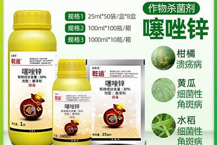 玉米顶腐病特效药