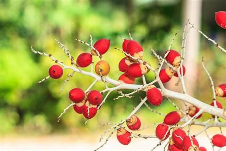 复合肥撒地里几天没下雨能失效吗