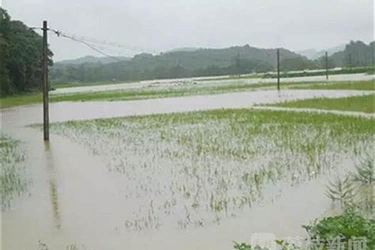 磷酸二氢钾在西瓜的使用方法