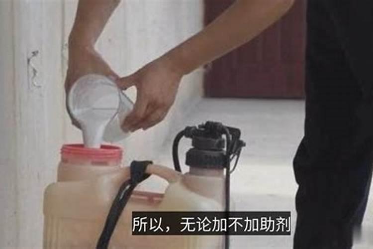 霸王鞭怎么施肥？用什么肥料？这两季千万不要错过!