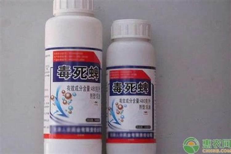 乐果是什么意思