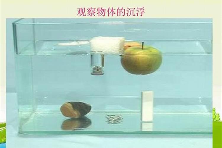 养君子兰的花土上面可以放一层矿物质吗矿石吗？