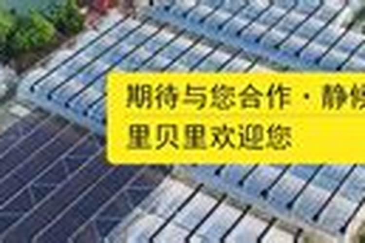 河南水溶肥十大名牌