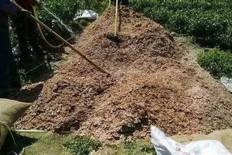 黄腐酸钾加尿素加茶麸水一起冲施可以吗？