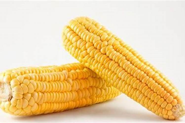 玉米后期追什么肥料好