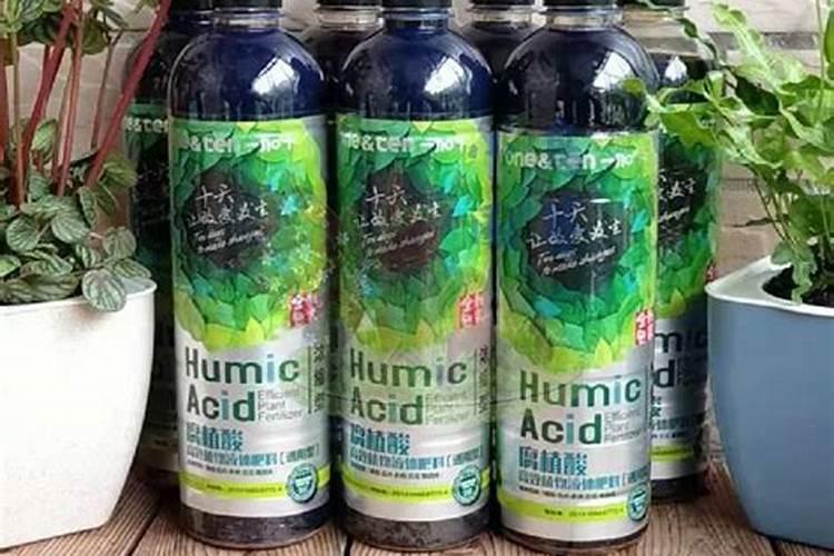 蕃茄施什么肥最好