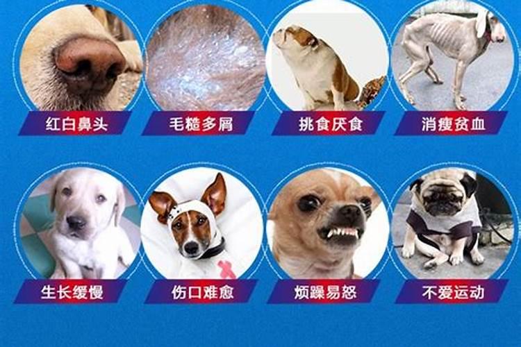 母牛喂微量元素多长时间能见效