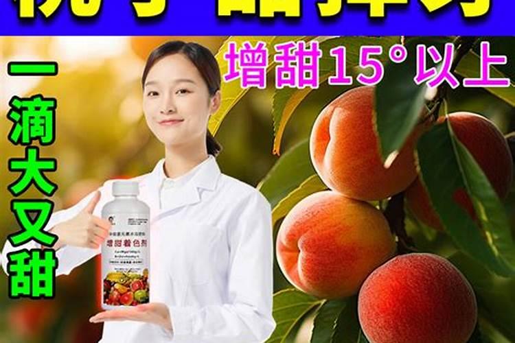 桃树结果期用什么叶面肥效果好？桃树膨果期追施什么肥料好？