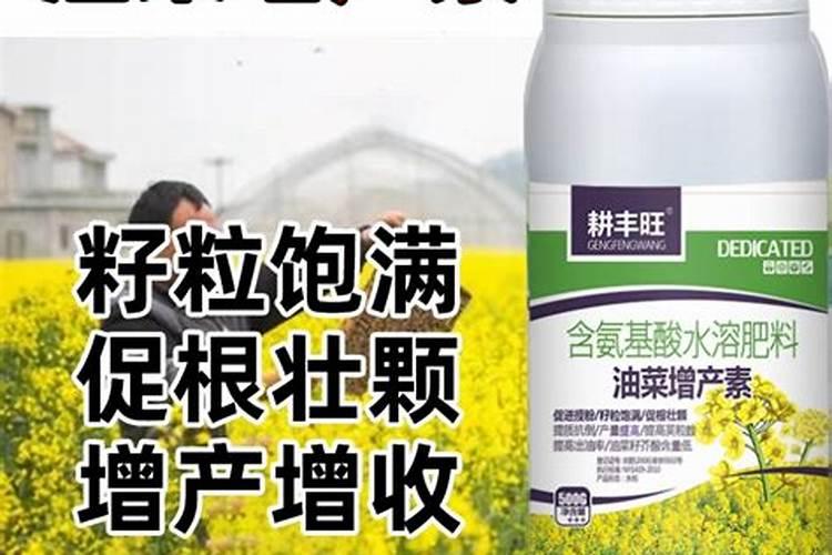 油菜开花施什么肥什么叶面肥好？
