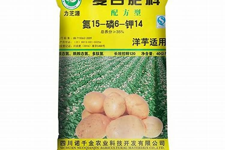 洋芋是不是土豆