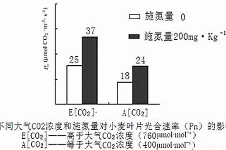 影响光合作用的主要环境因子有哪些？有何影响？