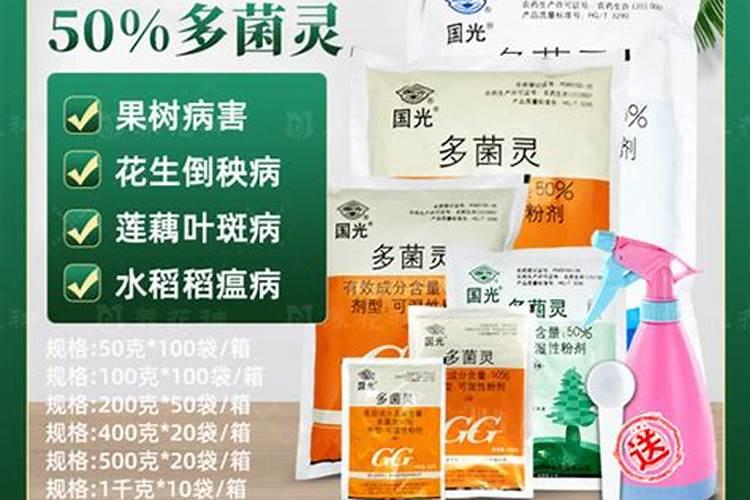 养花肥料怎么选呢？