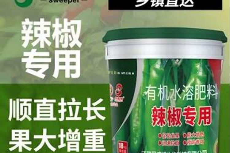 四川一姑娘用"矿泉水桶种辣椒"火了,7棵结了40斤,咋种的？