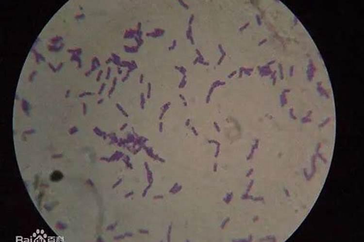 腐植酸为什么可以起到解磷解钾固氮作用