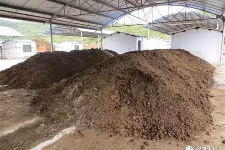 饼肥发酵好后怎么用