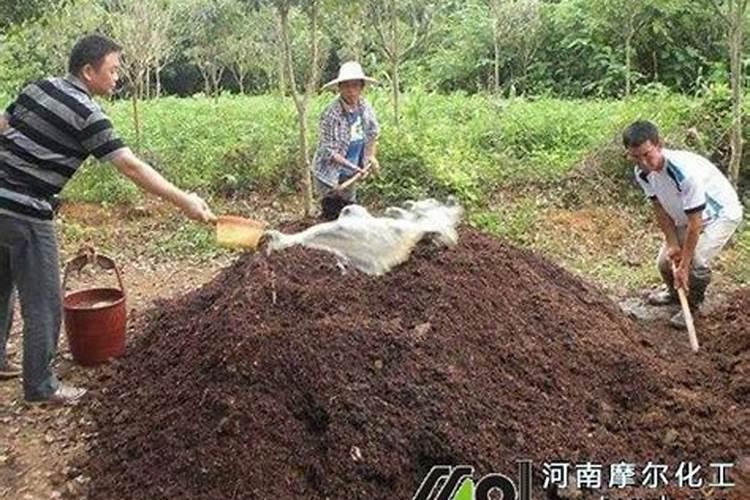 农家肥用什么发酵最好