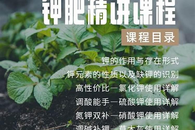 高钾肥怎样使用方法？