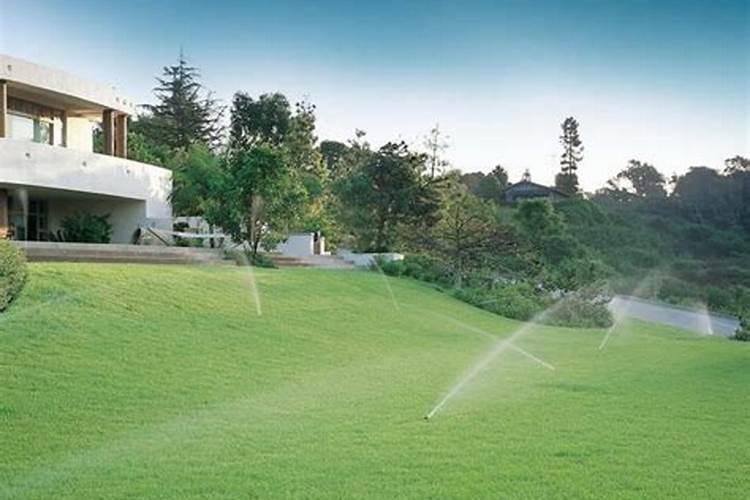 草坪刚割完草,施肥行吗