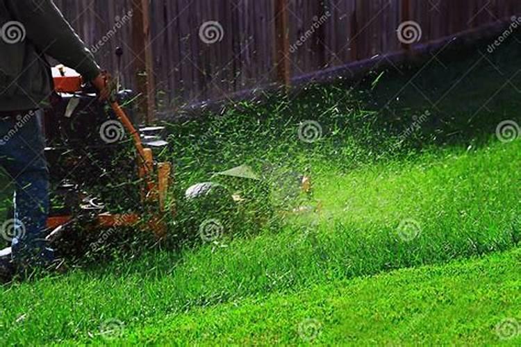 草坪修剪后可以马上施肥吗