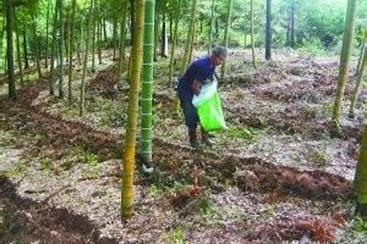 钙肥和哪些农药不能混用