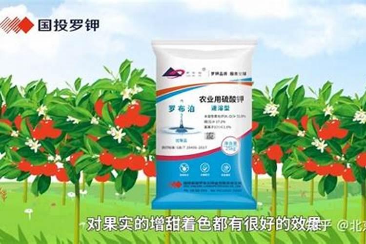 农村的高钾肥是什么肥料