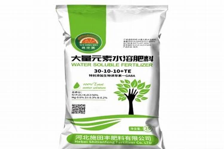 番茄什么时候种植