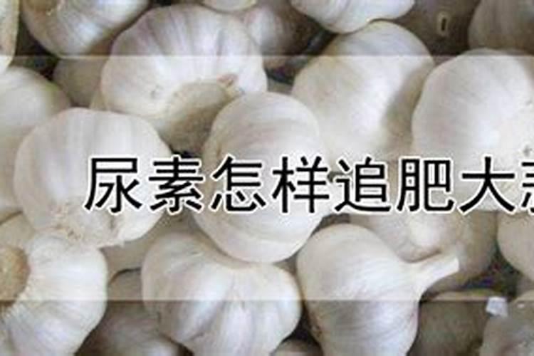 大蒜叶面肥配方大全