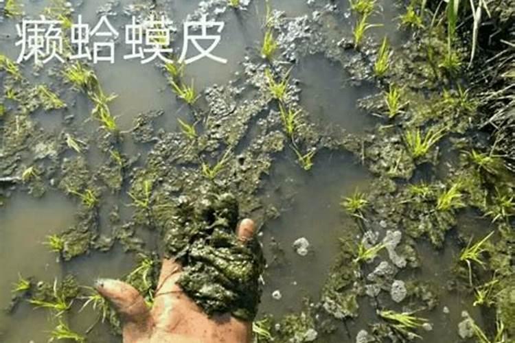 有机硅的用途和作用