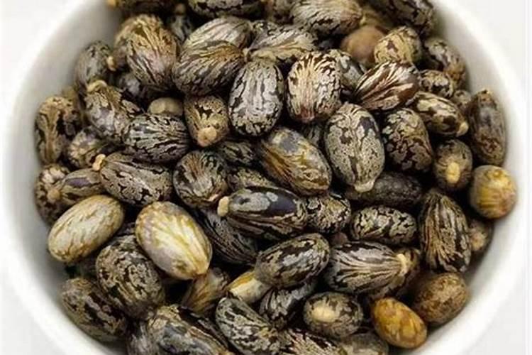 蓖麻子油的功效与作用是什么