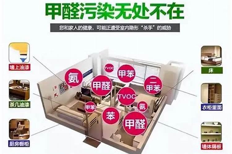 广东凤溪茶业股份有限公司怎么样？