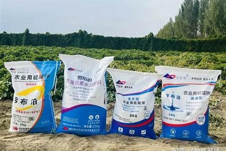 盐湖钾肥的历史由来谁投资