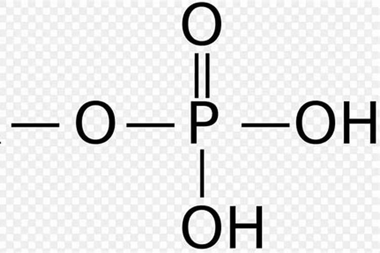 复合肥和有机肥能掺着一起使用吗？