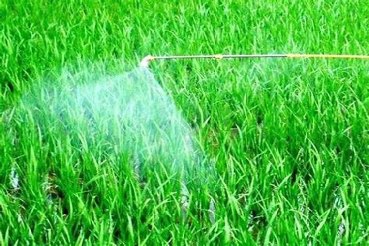 硼肥可以跟复合肥混合使用吗？