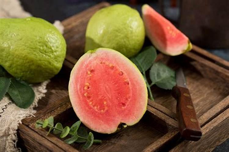 芭乐树焦梢什么原因？