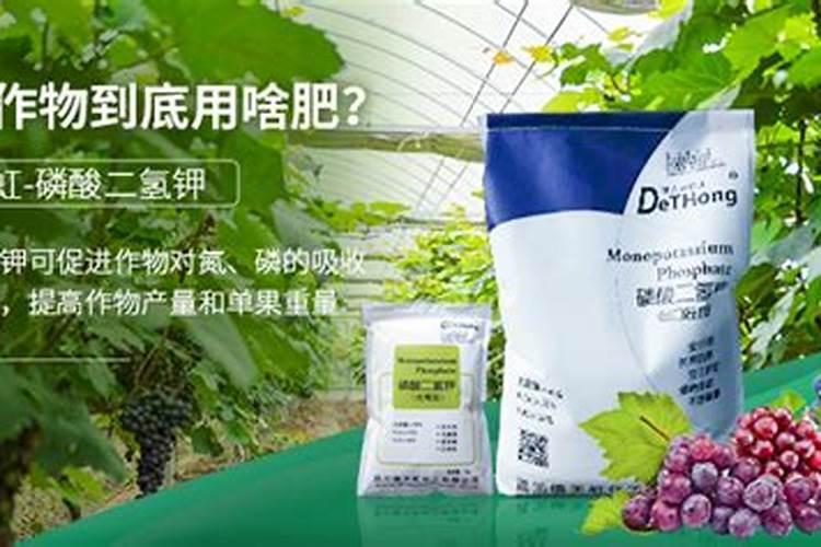 四川涧尔科技有限公司国光施优特水溶肥五千克的多少钱一袋