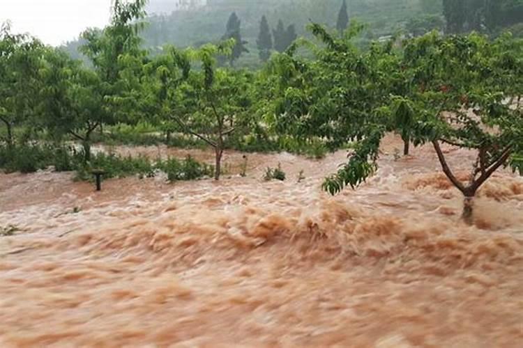 刚给果树施完肥就下雨了,还需要再重新施一遍肥吗？