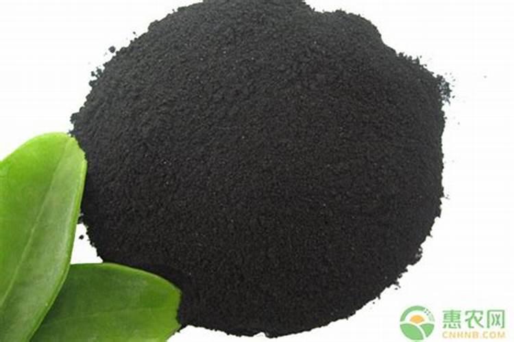 柑橘开花期需要施什么肥