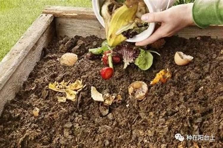 怎样防治柑橘缺钾症？