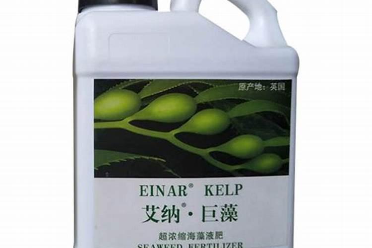 海棠的生活习性