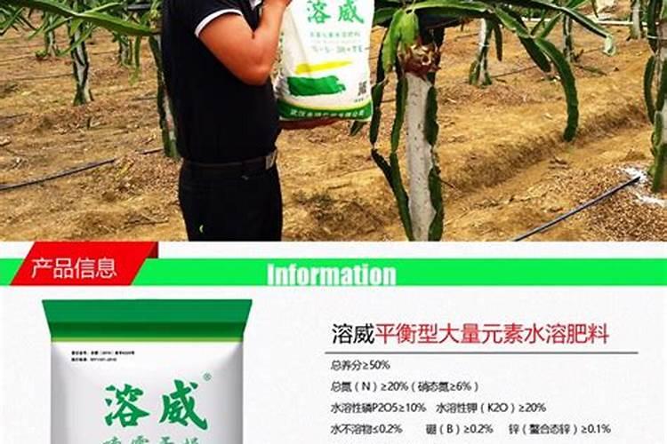 冲施肥需要注意哪些事项？天麻冲施肥有用吗？