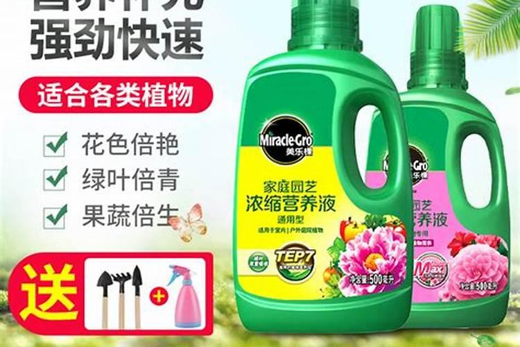 各种作物的水溶肥什么时候用最好,效果最好的使用时间