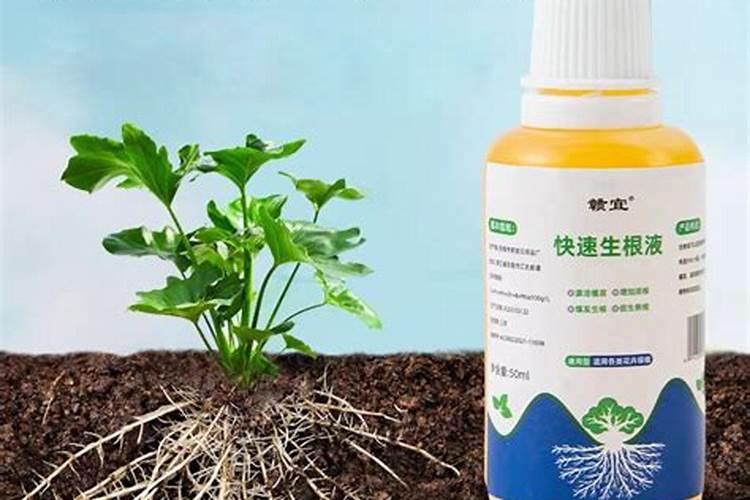 矿源黄腐酸钾哪里有卖的？黄腐酸钾含量和价格,黄腐酸钾黑金晶改良土壤...