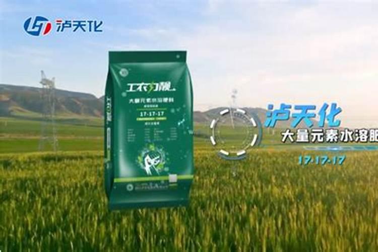 芋头的施肥时间 芋头什么时候施肥