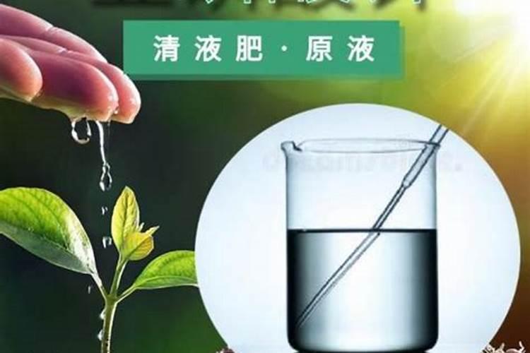 辽宁哪里产的蓝莓最好吃 辽宁蓝莓几月份成熟