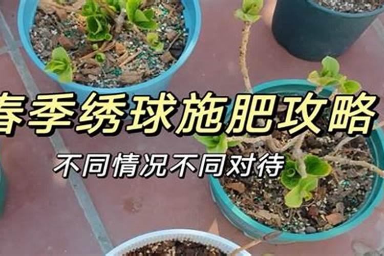 花友经验:缓释肥和控释肥的区别