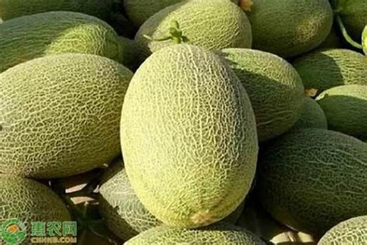 打药后几小时下雨不怕